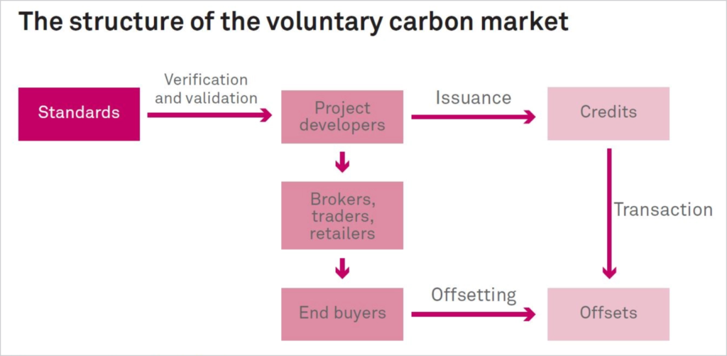 carbon-market-structure
